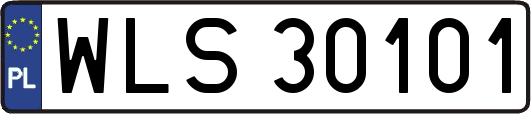 WLS30101