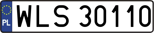 WLS30110
