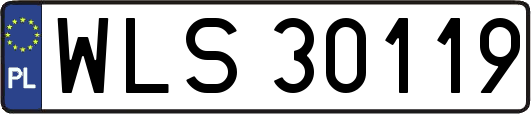 WLS30119