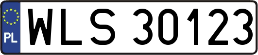 WLS30123