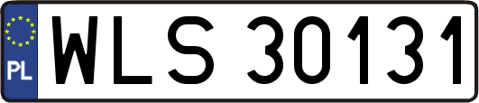 WLS30131