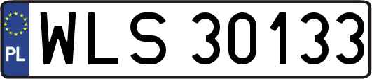 WLS30133