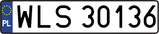 WLS30136