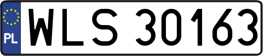 WLS30163