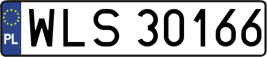 WLS30166