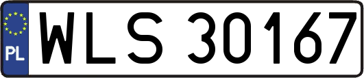 WLS30167