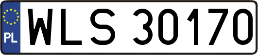 WLS30170