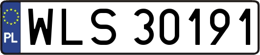 WLS30191