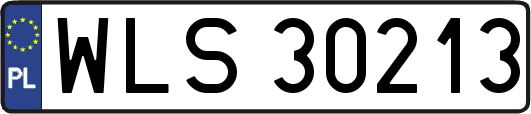 WLS30213