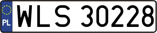 WLS30228