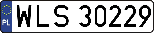 WLS30229