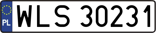 WLS30231