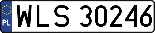 WLS30246