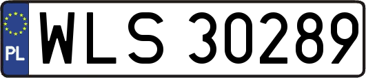 WLS30289
