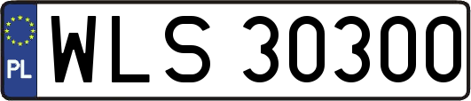 WLS30300