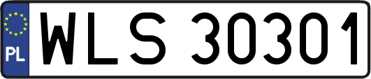 WLS30301
