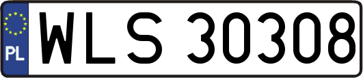 WLS30308