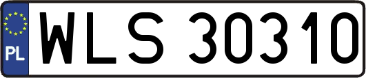 WLS30310