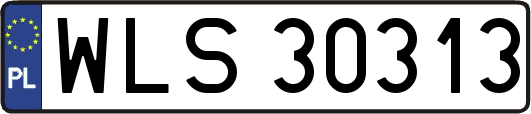 WLS30313