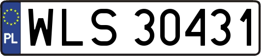 WLS30431