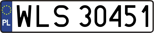 WLS30451