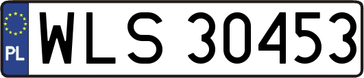 WLS30453