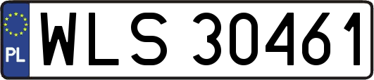 WLS30461