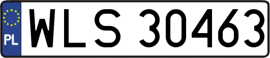 WLS30463