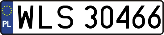 WLS30466