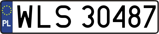 WLS30487