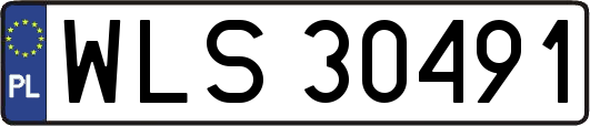 WLS30491