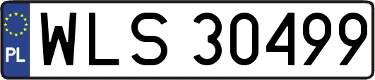 WLS30499