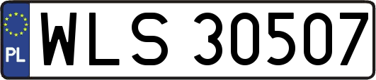 WLS30507