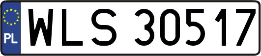 WLS30517