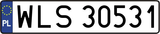 WLS30531