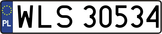 WLS30534