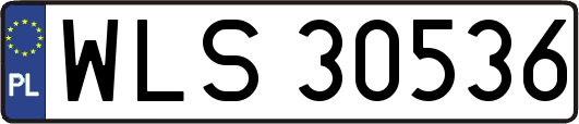 WLS30536