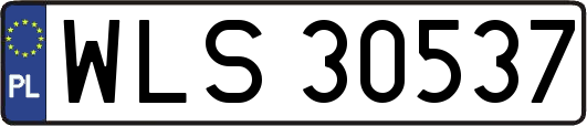 WLS30537