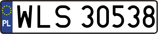 WLS30538