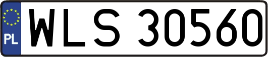 WLS30560