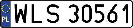 WLS30561