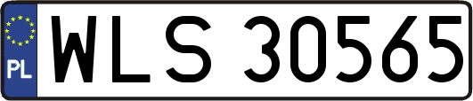 WLS30565