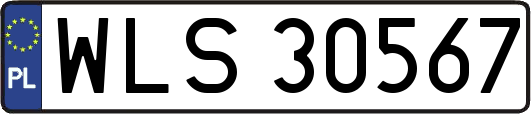 WLS30567