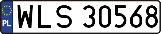 WLS30568