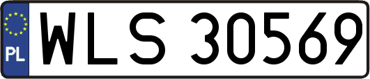WLS30569