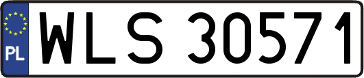 WLS30571