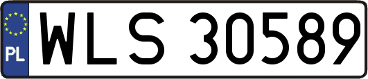 WLS30589