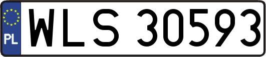 WLS30593