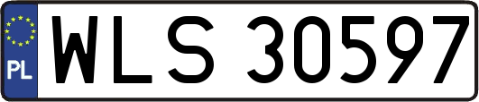 WLS30597