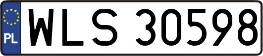 WLS30598
